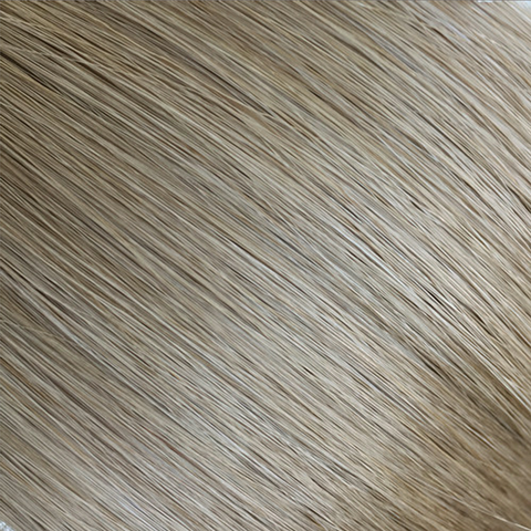 Extensii de par natural Tape-On Blond Cenusiu 14